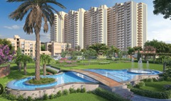 PAREENA COBAN RESIDENCES photo 3