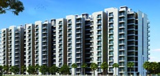 GLS CENTRAL AVENUE