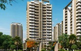 ASSOTECH BREEZE
